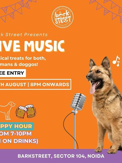 Musical treats for both hoomans and doggos! Our live music nights are designed for everyone to enjoy.