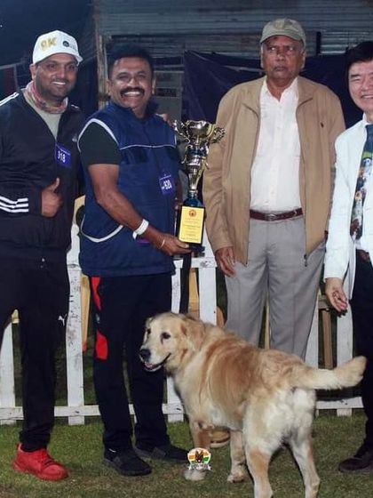 K9 Gurukul - Dog Training for Shows & Media Champions of the Show Ring photo 18