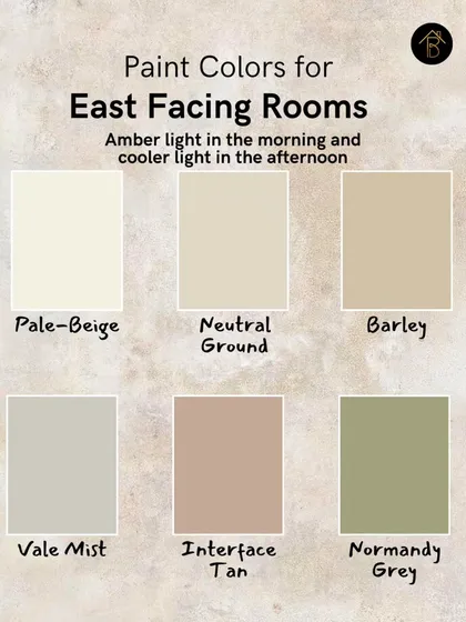 For East-facing rooms, which get bright amber light in the morning and cooler light later, I recommend balanced, earthy tones. Colors like Pale-Beige, Neutral Ground, and Normandy Grey adapt beautifully to the changing light.