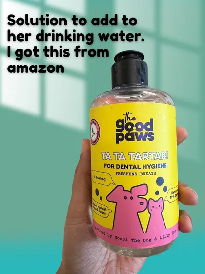 In addition to brushing, I use a water additive like this 'Ta Ta Tartar' solution to help freshen her breath and maintain oral hygiene.
