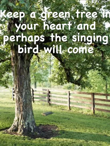 "Keep a green tree in your heart and perhaps the singing bird will come." An old proverb that speaks to creating a welcoming inner environment for joy and hope to arrive.