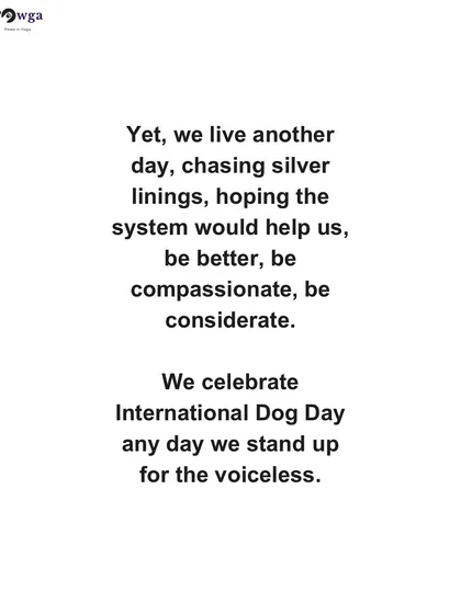 Despite the challenges, we continue to chase silver linings and hope for a more compassionate system. For us, every day we stand up for the voiceless is International Dog Day.