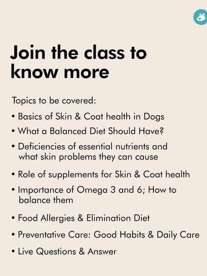 The Pack - Pet Parent Education & Workshops Expert-Led Online Masterclasses photo 26