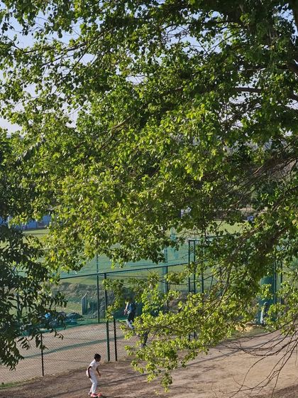 Our Home Ground: Croire Cricket Club photo 3