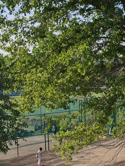 Our academy is set against the calm backdrop of the Aravallis. This peaceful environment allows players to focus on their game and connect with nature.