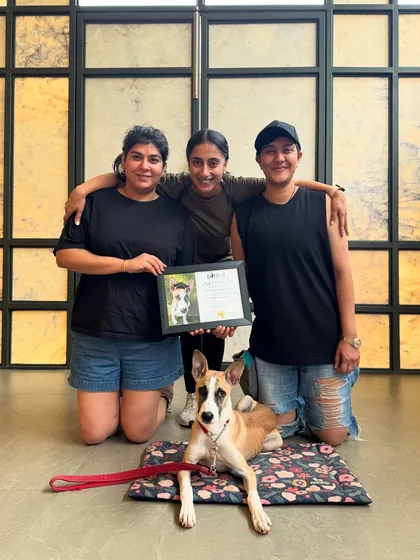 Rocket and his wonderful family on graduation day. I love seeing guardians empowered with the knowledge to lead their dogs.