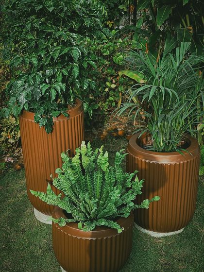 Make My Garden - Nursery & Gardening Store (Retail) Pots, Planters & Garden Decor photo 12