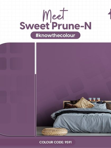 Paint My Walls - Painting Services Free Color Consultation & Inspiration photo 90