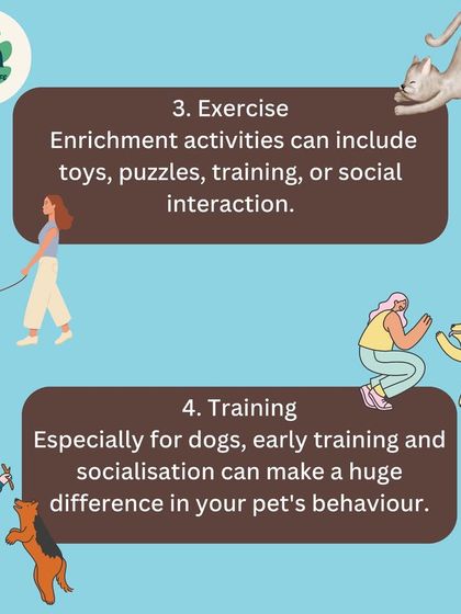 Furever Safe - Pet Training Pet Parent Knowledge Hub photo 4