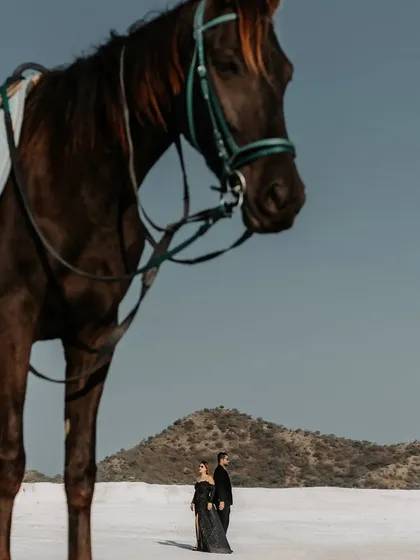 A creative composition using forced perspective, with the horse appearing large in the foreground and the couple small in the distance, adding an artistic and playful touch.