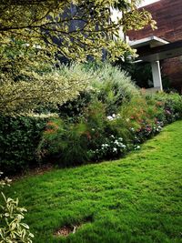 Landscape Design & Installation