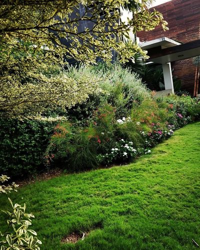 Landscape Design & Installation
