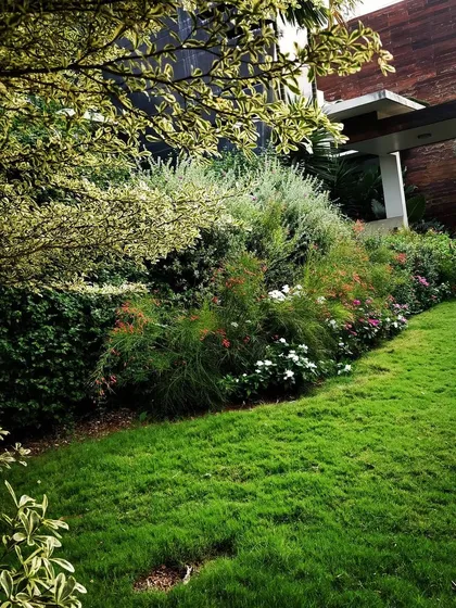 A look at a mature residential garden I designed, filled with layers of greenery. The mix of shrubs, flowering plants, and a healthy lawn creates a private, peaceful retreat for the homeowners.