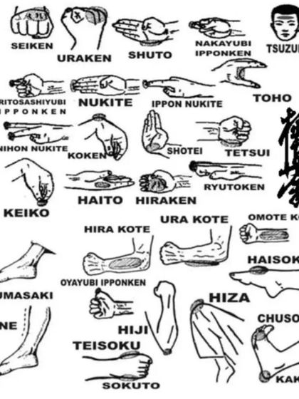 Revolution Martial Arts & Fitness Academy - Martial Arts Classes Mastering the Art: Karate & Kickboxing Techniques photo 16