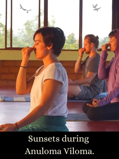 Captions will describe the specific yoga practice shown (e.g., "Practicing Sutra Neti, a traditional yogic cleansing technique," "A Hatha yoga class in our Chakra Hall," "Finding inspiration in our mistakes and using them as a platform for growth.").
