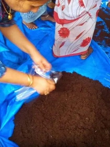 Packaging the finished vermicompost from our community project. This was over 12 years ago, and while my methods have evolved, the fundamental joy of creating rich soil from waste remains the same.