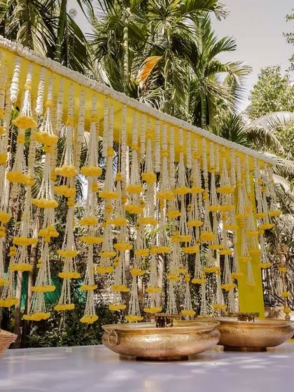 Our Team in Action photo 27