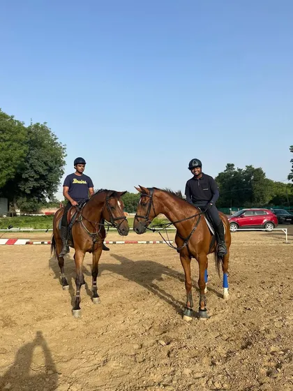 Two of our beloved horses, Verdinand and Haminka, sharing a friendly moment. The well-being and happiness of our horses are paramount.