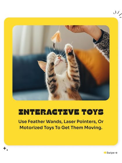 Pet Warehouse - Pet Supplies Toys, Accessories & Essentials photo 4