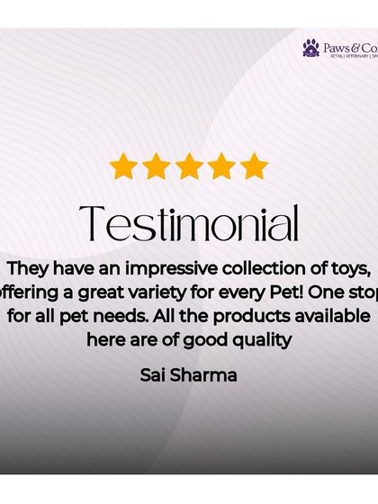 PawsnCollars - Pet Supplies Playtime & Enrichment Toys photo 15