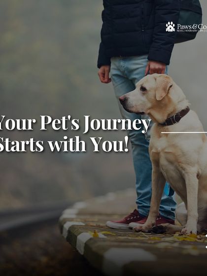 PawsnCollars - Veterinary Care Seamless Pet Relocation, Worldwide photo 24