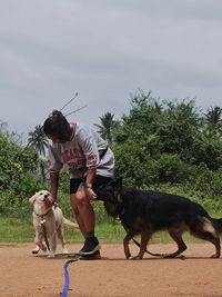 Dog Socialization & Confidence Building