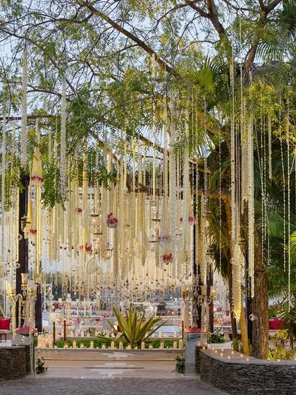 The grand entrance to a floral-themed event in Udaipur, where guests walk through a pathway lined with candles and trees adorned with hanging blooms. The first impression sets the tone for the entire celebration.