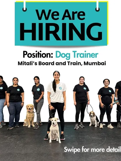 This is the incredible team behind Mitali's Board and Train. We are a growing group of passionate, dedicated trainers who ensure every dog receives professional and compassionate care around the clock.