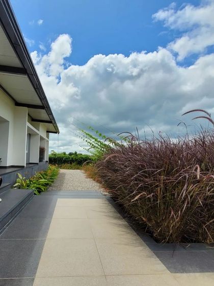 A quiet moment of contemplation on the steps of a modern building. The design uses a simple material palette, allowing the dramatic texture of the ornamental grasses to take center stage.