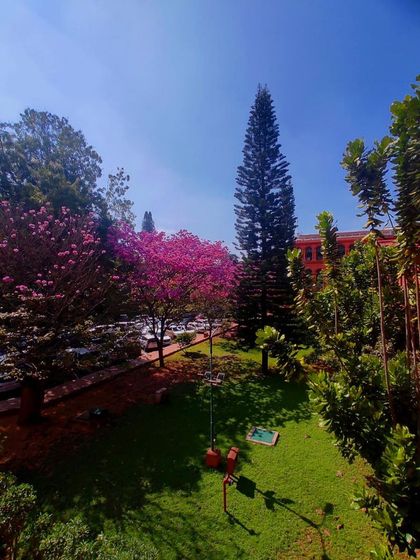 A beautiful view from our workplace during the blooming season in Bangalore. A pleasant environment inspires creative and focused work.