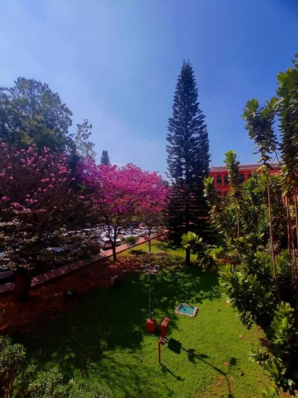 A beautiful view of the greenery surrounding our workplace. A serene environment helps foster clear and focused legal thinking.