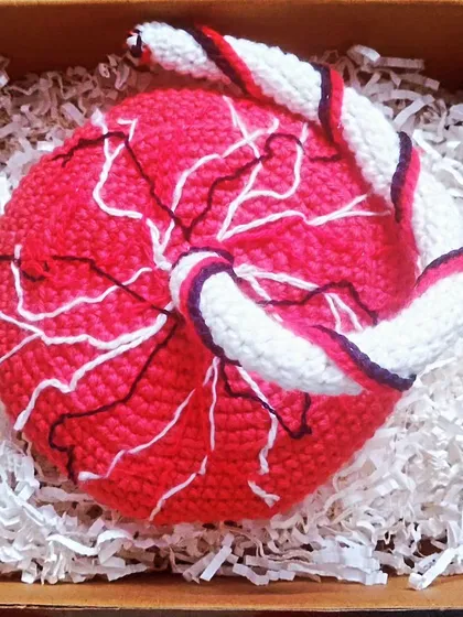 I love a creative challenge, and this was one of my most unique projects. A childbirth educator asked me to create a crochet placenta model for her classes. It’s proof that I can truly crochet almost anything you can imagine.