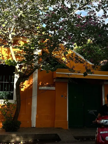 The actual scene in White Town that I painted, with its vibrant orange wall and flowering tree.