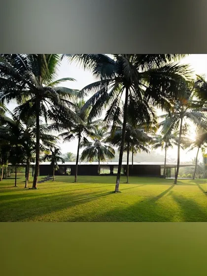 The sun sets over a grove of coconut palms, casting long shadows across the lawn. Our design for this property focused on preserving and enhancing the existing natural beauty to create a peaceful, park-like setting.