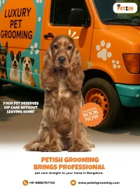 Mobile Grooming for Dogs & Cats