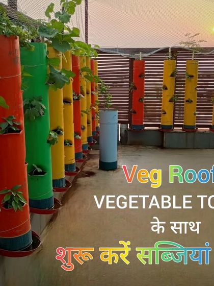 Start growing your own vegetables with VegRoof's vegetable towers. This setup at sunset shows how beautiful and organized your terrace can look.