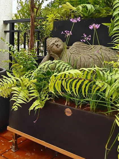 A perfect example of creating a serene balcony retreat. This client has beautifully placed our reclining Buddha statue amidst lush ferns in a modern planter, proving that tranquility can be found in any space.