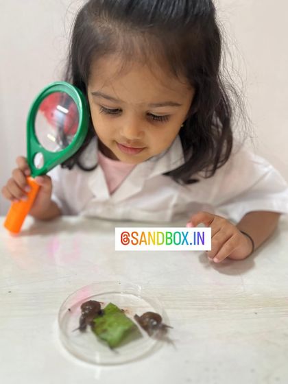 With her magnifying glass in hand, this young scientist is ready to explore the world of snails. These activities foster a love for nature and the scientific method of observation.