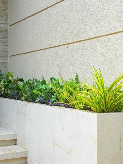 A clean shot of the completed walkway planter, showing how different shades of green can create a lush, jungle-like feel even in a small space.