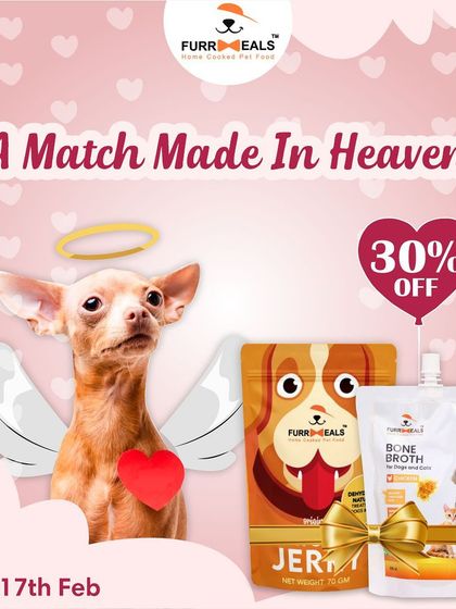 Here are more of our festive sale announcements, including for Diwali, Christmas, and Independence Day. I always try to make these celebrations special for your pets too.