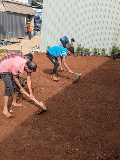 Kicking off the year with a new project. Our team prepares the soil by leveling it with rakes, the first step in any successful lawn installation.