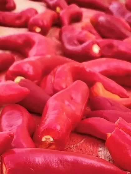 Sun-drying red chillies is a crucial step in my process. It concentrates the flavour and is a part of my traditional recipe.