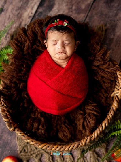 A full view of the baby girl in her red wrap. The rich brown fur and dark wood background make the red color stand out beautifully.