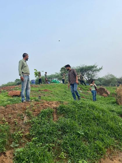Our team and volunteers survey the landscape at the mined-out pit, planning the next phase of planting to ensure maximum ecological impact.