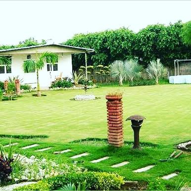 A well-designed garden path can guide you through the space. Here, I've used stepping stones and brick pillars to add structure to this farmhouse landscape.