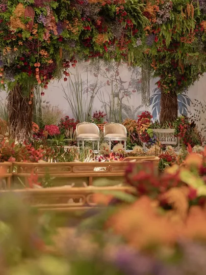 The parents' seating area at the naming ceremony, a serene and beautiful spot within the enchanted forest.
