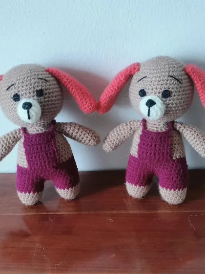 Another pair of puppies ready for play.