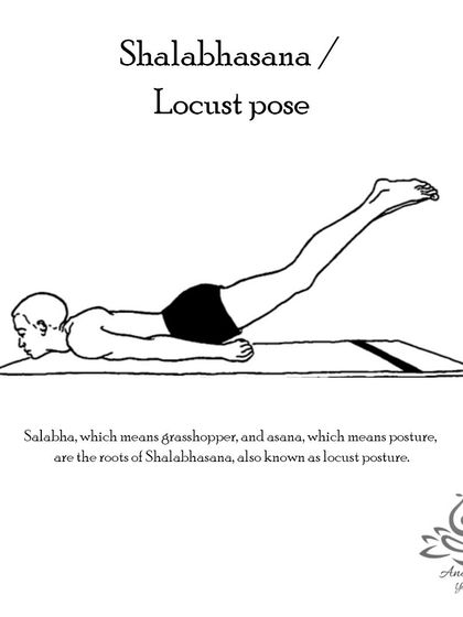 Anagha Yoga - Therapeutic Yoga Yoga Foundations: Asana Library photo 66