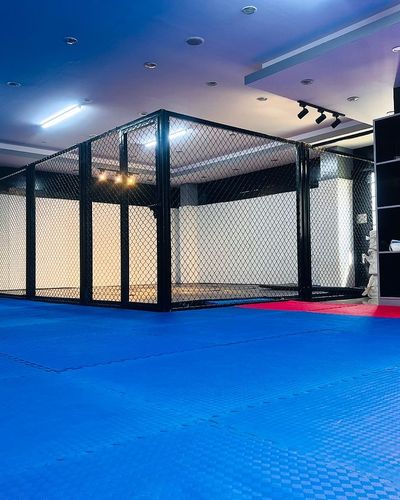 Mixed Martial Arts (MMA)