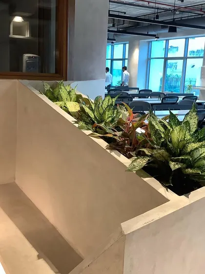 This angled view shows how integrated planters can follow the unique architectural lines of a space, making the greenery feel like a natural and intentional part of the design.